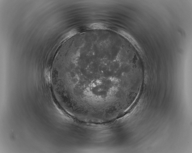 X0000113601241200909181345