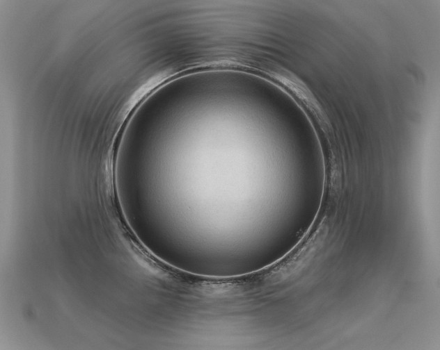 X0000113601242200909181345