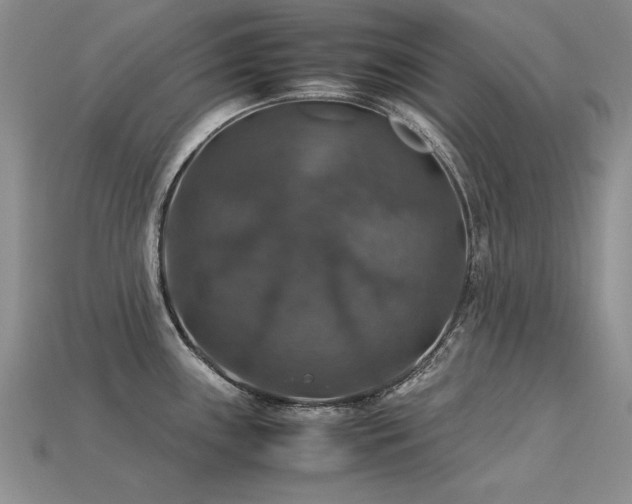 X0000113601243200909181345