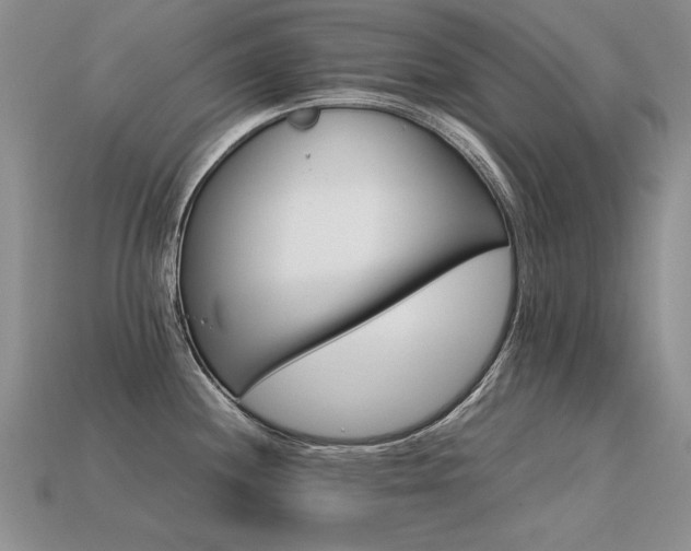 X0000113601244200909181345