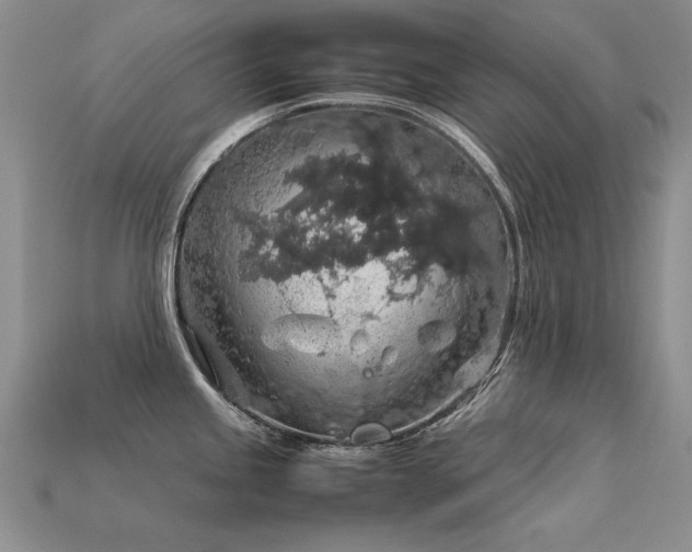 X0000113601245200909181345