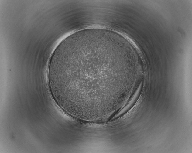 X0000113601246200909181345