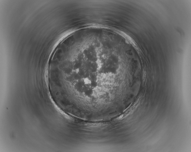 X0000113601247200909181345