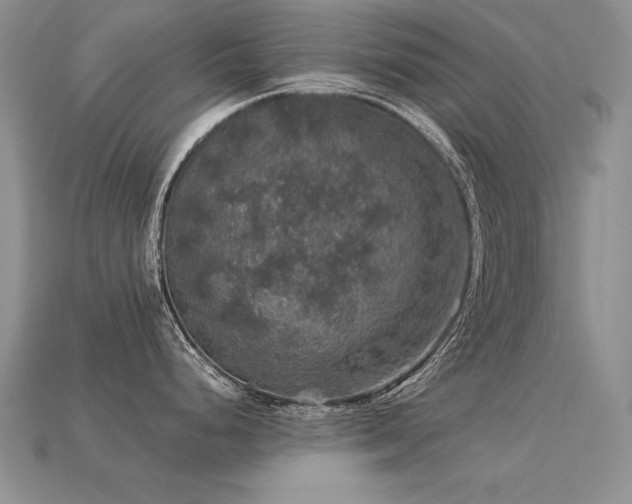 X0000113601248200909181345