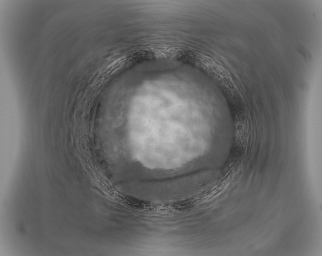 X0000113601249200909181345