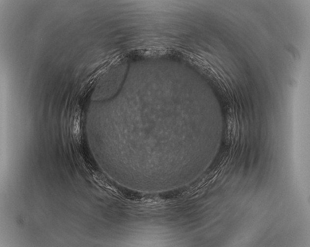 X0000113601250200909181345