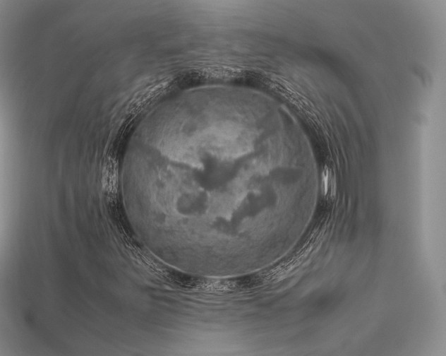 X0000113601251200909181345