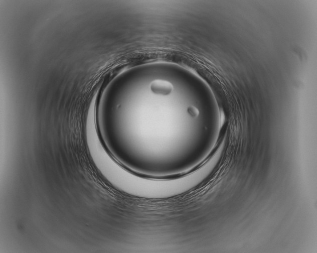 X0000113601252200909181345