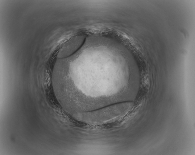 X0000113601253200909181345