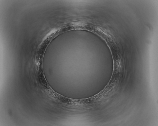 X0000113601254200909181345