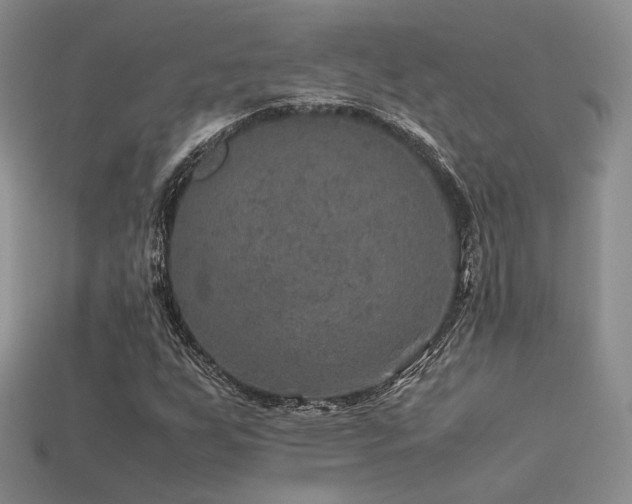 X0000113601255200909181345