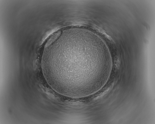 X0000113601256200909181345