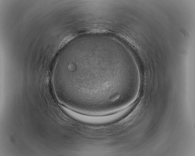 X0000113601257200909181345