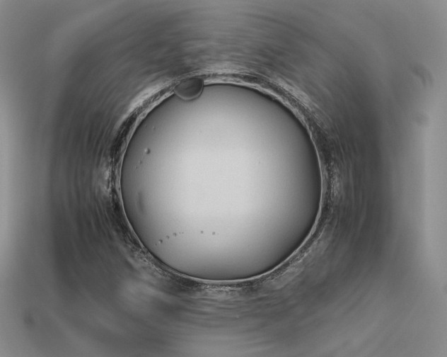 X0000113601258200909181345