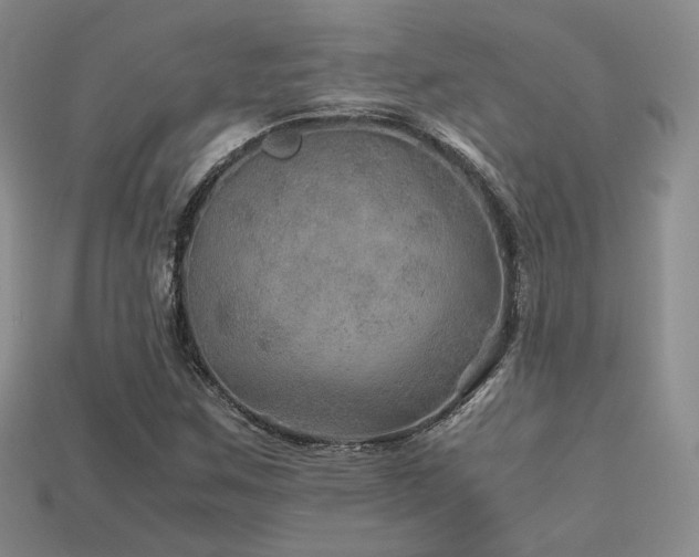 X0000113601259200909181345