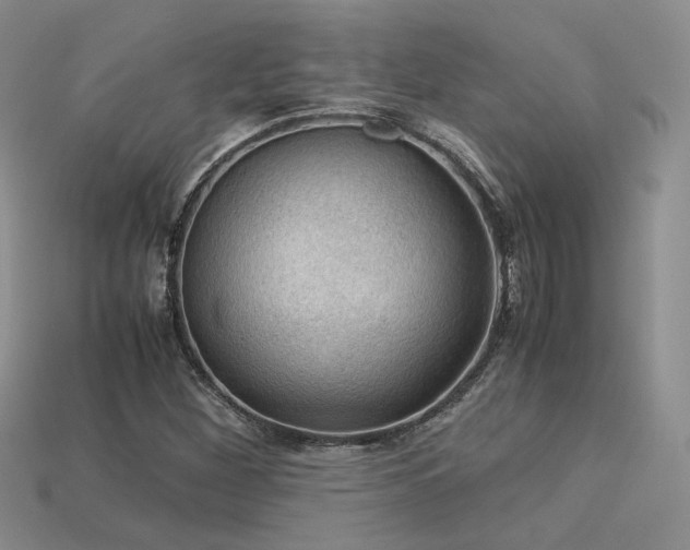 X0000113601260200909181345