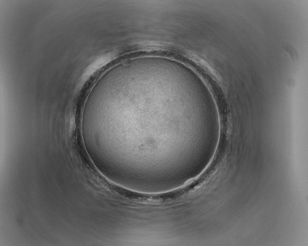 X0000113601261200909181345