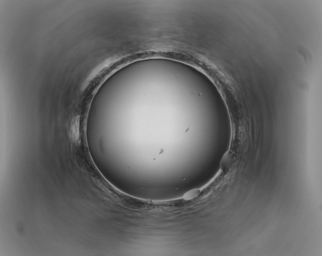 X0000113601262200909181344