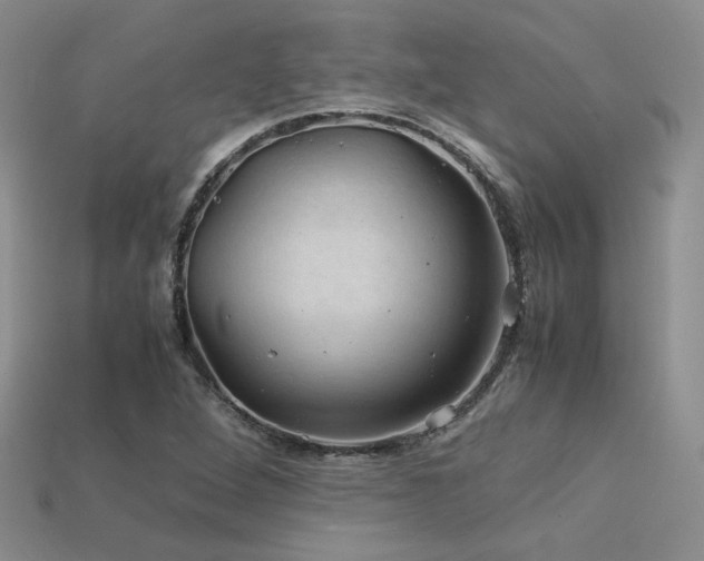 X0000113601264200909181344