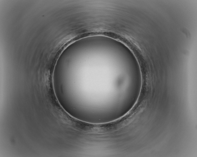 X0000113601265200909181344