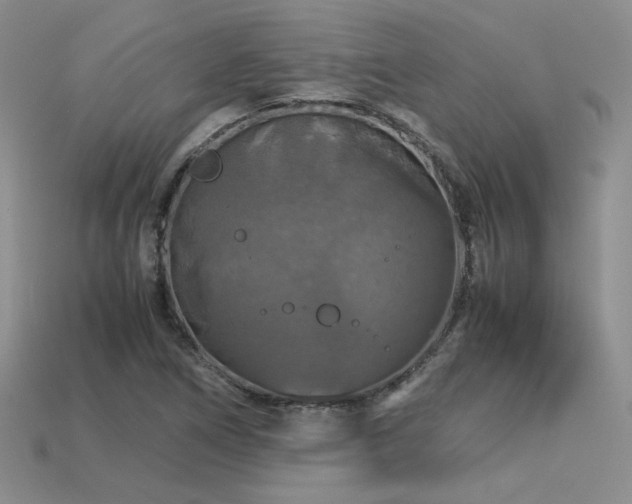 X0000113601266200909181344