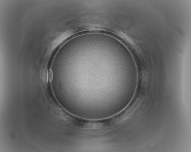 X0000113601269200909181344