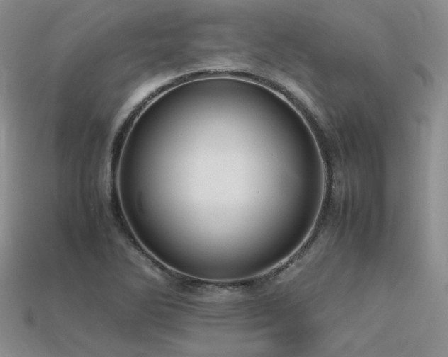 X0000113601270200909181344