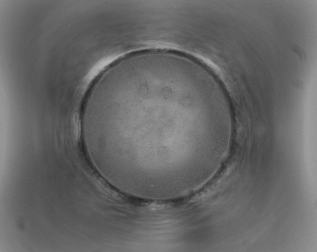 X0000113601271200909181344