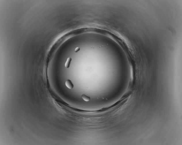 X0000113601272200909181344