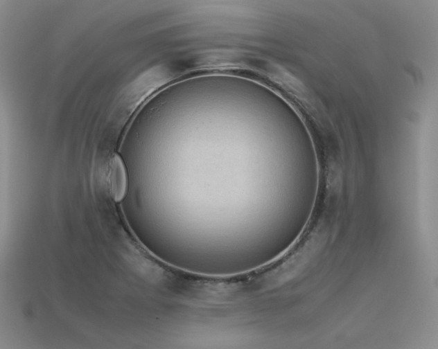 X0000113601273200909181344