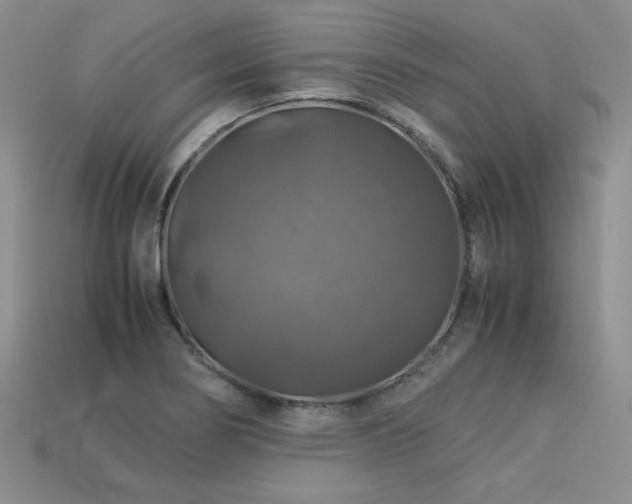 X0000113601274200909181344