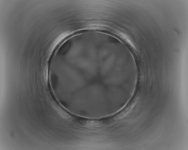 X0000113601275200909181344