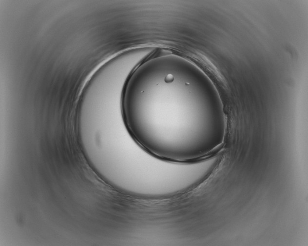 X0000113601276200909181344