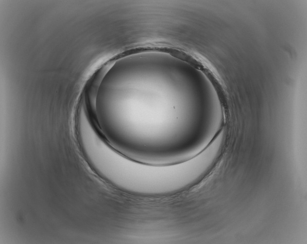 X0000113601277200909181344