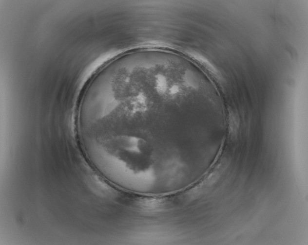 X0000113601278200909181344