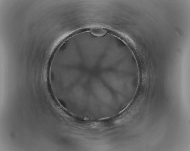 X0000113601279200909181344