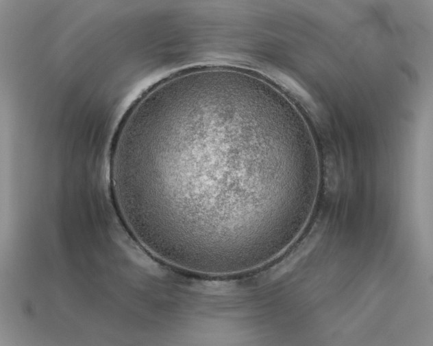 X0000113601280200909181344