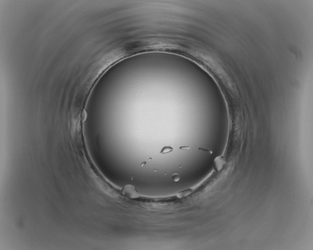 X0000113601281200909181344