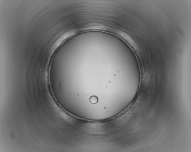 X0000113601282200909181344