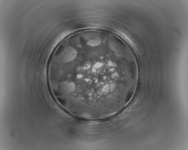 X0000113601283200909181344