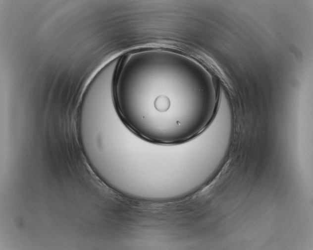 X0000113601284200909181344