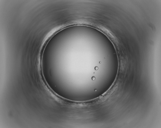 X0000113601286200909181344