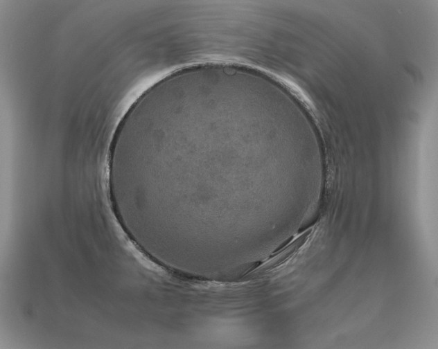 X0000113601287200909181344