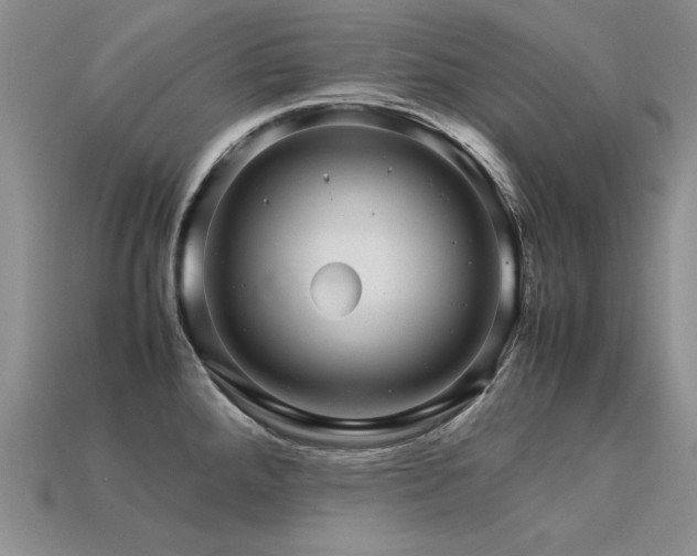 X0000113601288200909181344