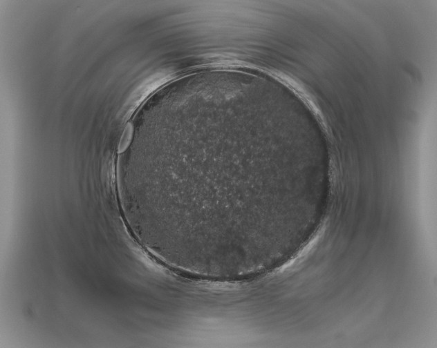 X0000113601289200909181344