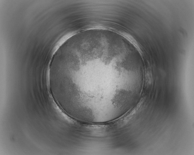 X0000113601290200909181344