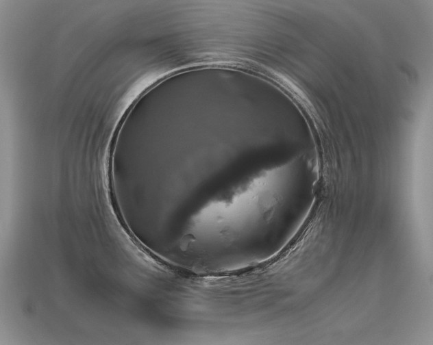 X0000113601291200909181344