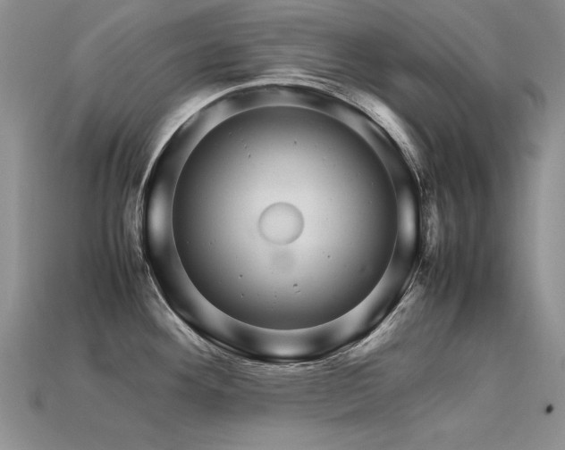 X0000113601292200909181344