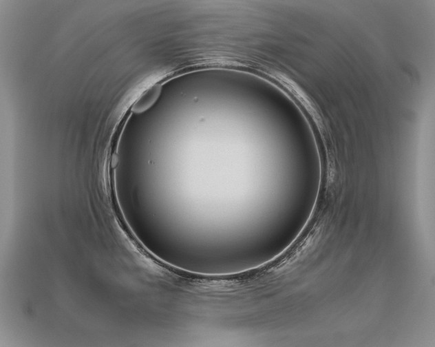 X0000113601293200909181344