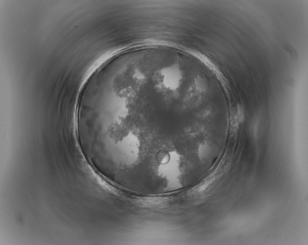 X0000113601294200909181344